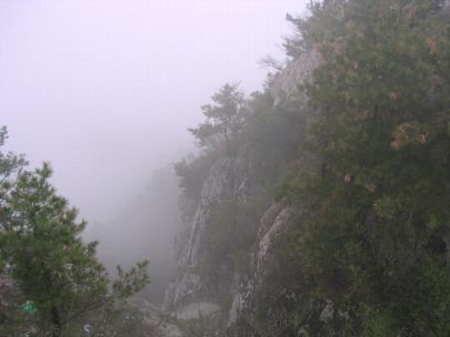 BJ0043.jpg